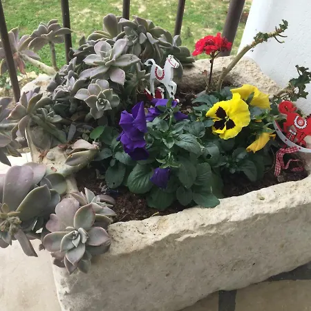 Apartman Piconja Apartment Dugi Rat